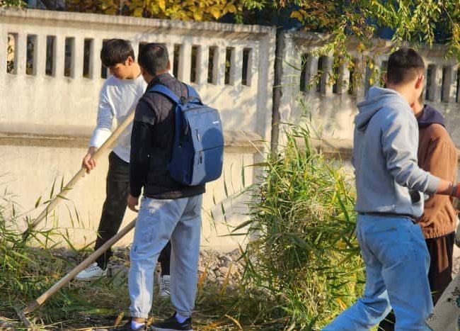 WhatsApp Image 2025-10-21 at 10.19.36