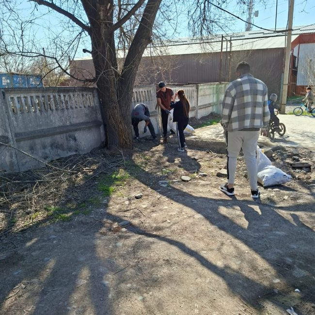 WhatsApp Image 2026-03-31 at 11.31.25 (1)