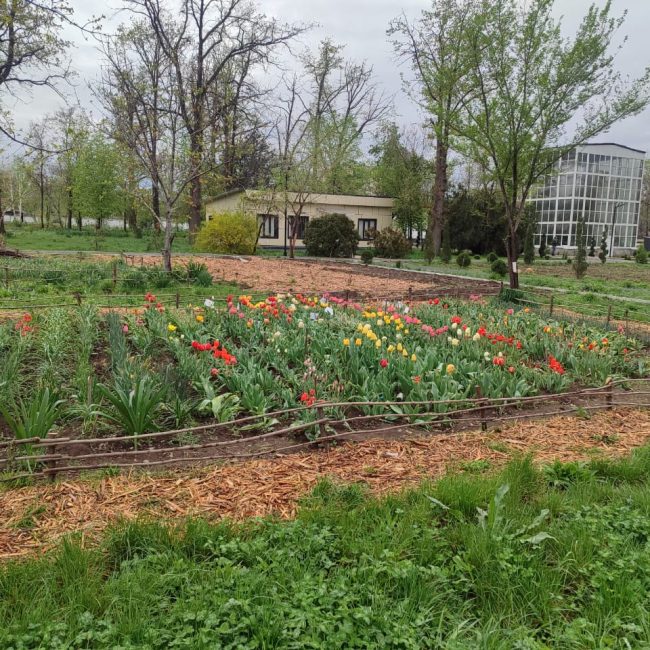 WhatsApp Image 2026-04-10 at 14.11.25 (3)