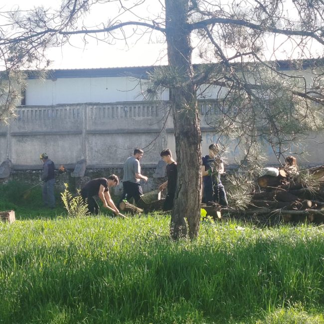 WhatsApp Image 2026-04-13 at 10.23.21